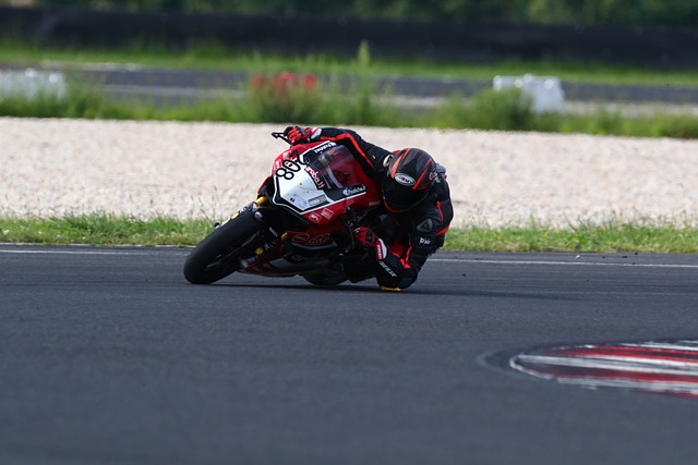 德尔加多双 德尔加多双