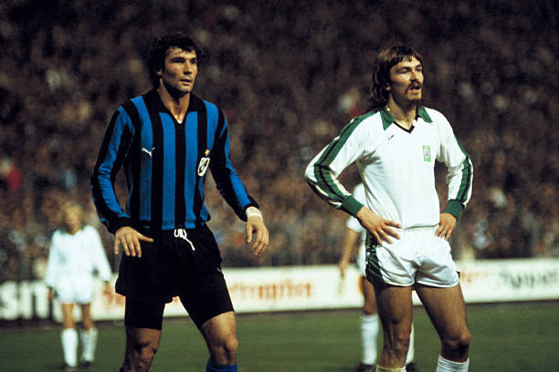 为引进阿尔 为引进阿尔